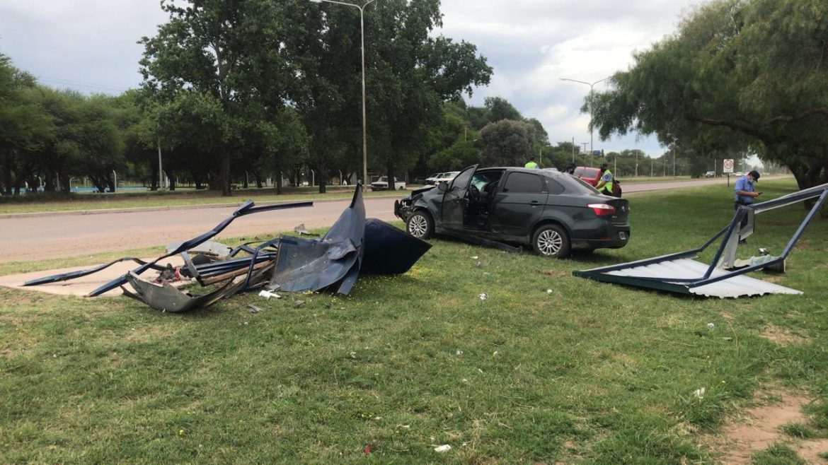 La perra Cora estaba esperando a su dueño y murió atropellada por un auto que se despistó