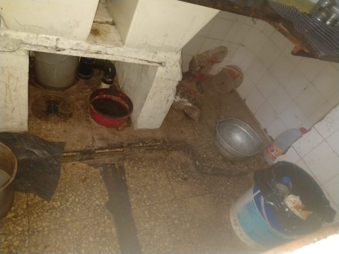 Un restorán de Santa Rosa, clausurado: había roedores y cucarachas