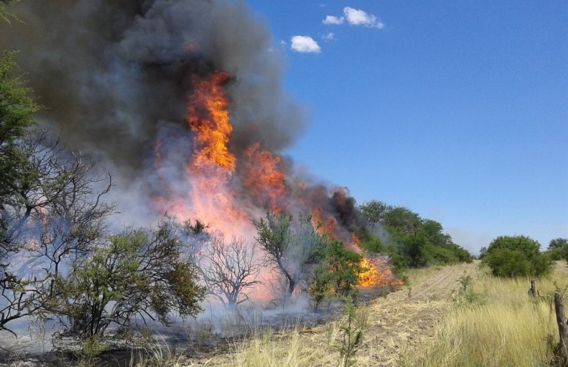 Humo en el cielo pampeano: incendios en la zona de El Meauco y en Utracán