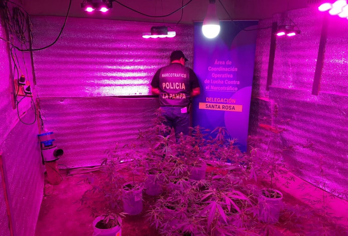 Secuestran marihuana, cocaína y armas de fuego en Santa Rosa