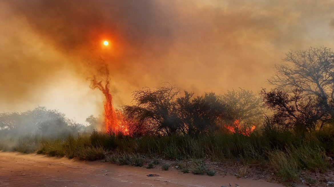 Hubo tres incendios de monte y pastizales en Santa Rosa