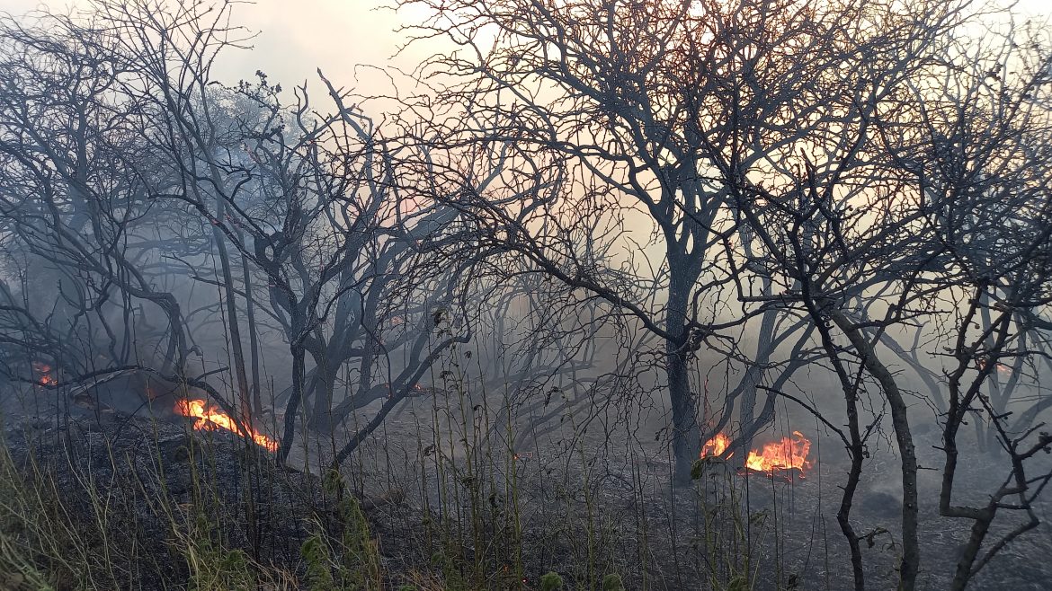 En Cuchillo Co ya se quemaron unas 20 mil hectáreas y se inició otro incendio en Chacharramendi