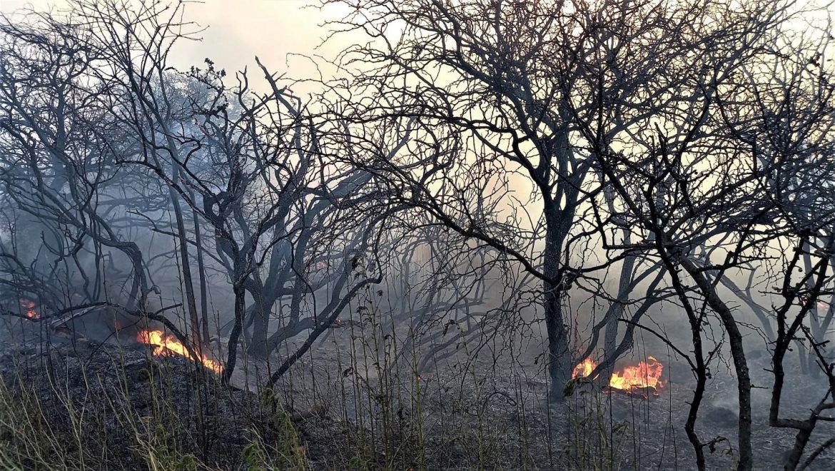 Pasó la tormenta y generó cuatro incendios en el oeste