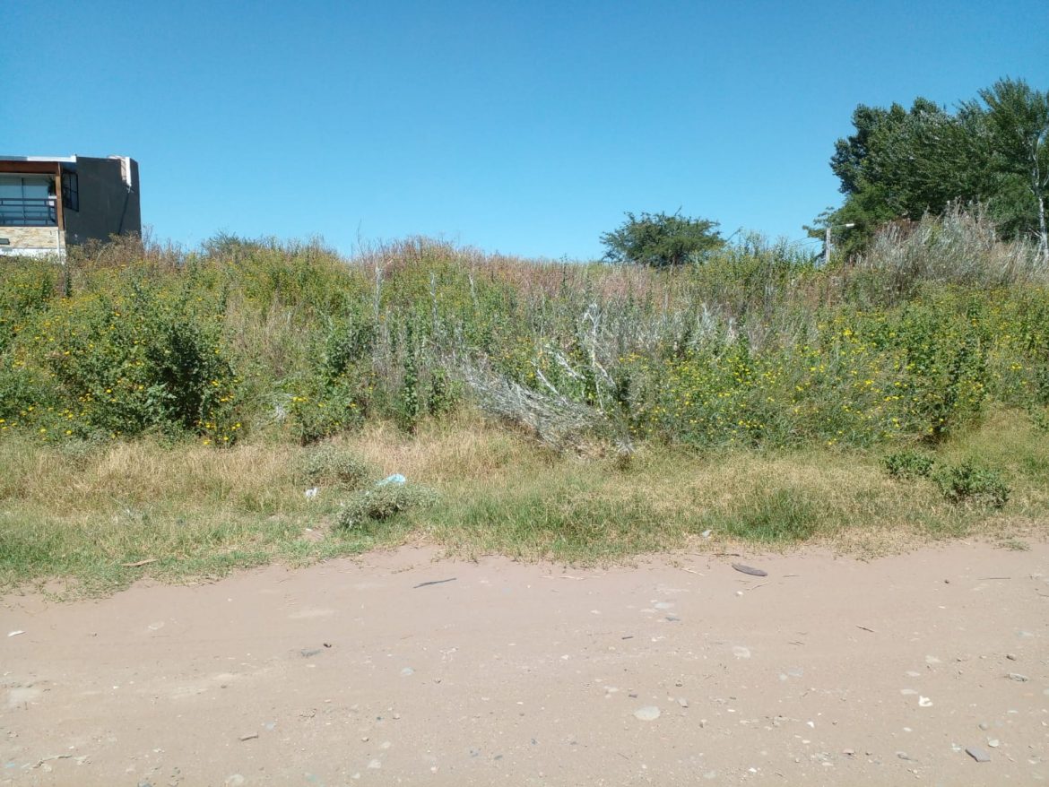 Ante la falta de respuestas del municipio, vecinos reiteran reclamo de limpieza de terrenos