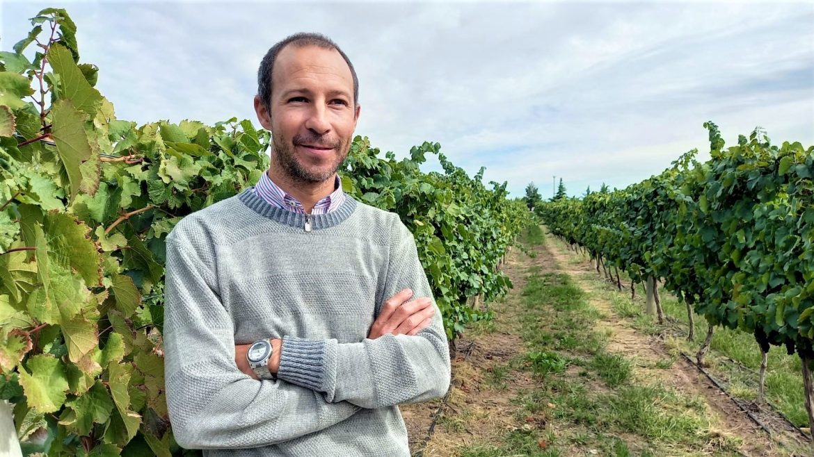 Investigadores del Conicet estudian si el viento de Casa de Piedra mejora los vinos