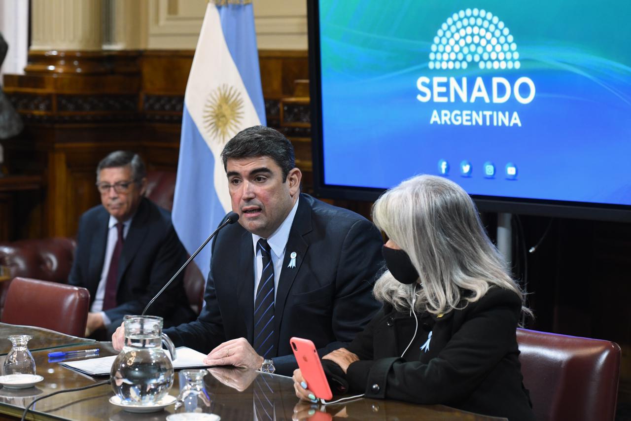 Senadores oficialistas, entre ellos Bensusán, se reúnen en Tucumán para mostrar unidad