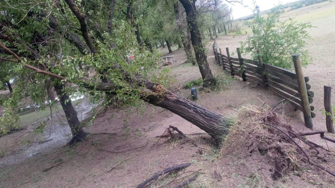Tormenta en Acha y la zona: el viento provocó destrozos en la Laguna Utracán
