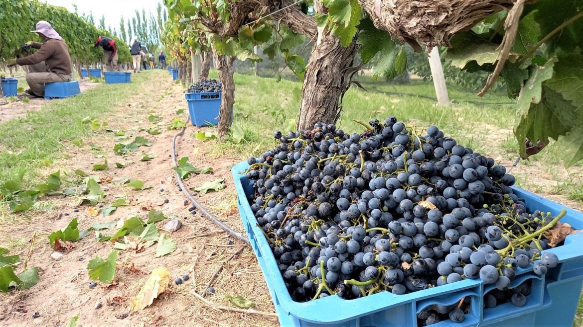 Créditos para economías regionales y jubilados, los anuncios que prepara Economía