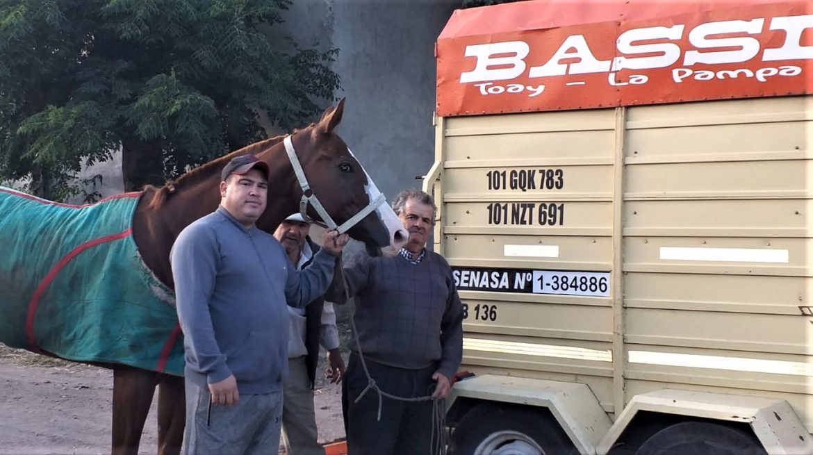 La historia detrás de la yegua de carrera que fue robada en el hipódromo de Santa Rosa