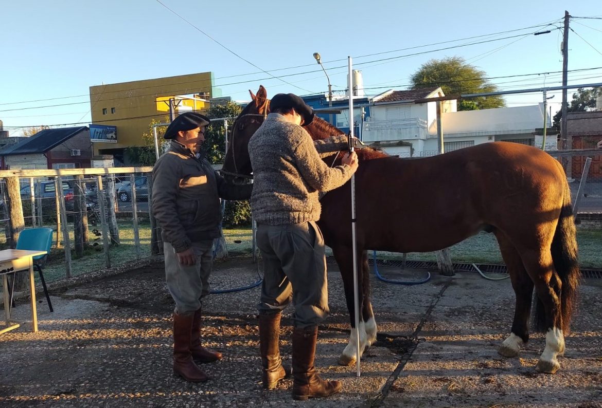 Ya está en marcha la Expo Criollos 2022