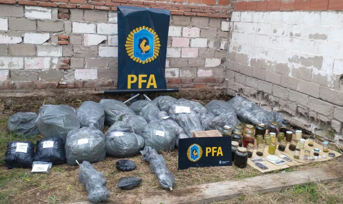 La Federal secuestró 25 kilos de marihuana y aceite de cannabis en un “laboratorio clandestino” en Santa Rosa