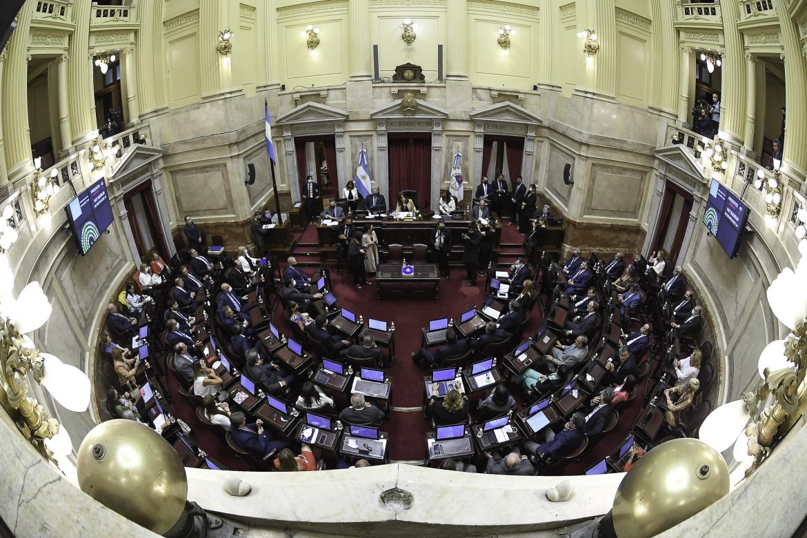 El Senado aprobó la creación de un fondo para pagarle al FMI con dinero fugado al exterior