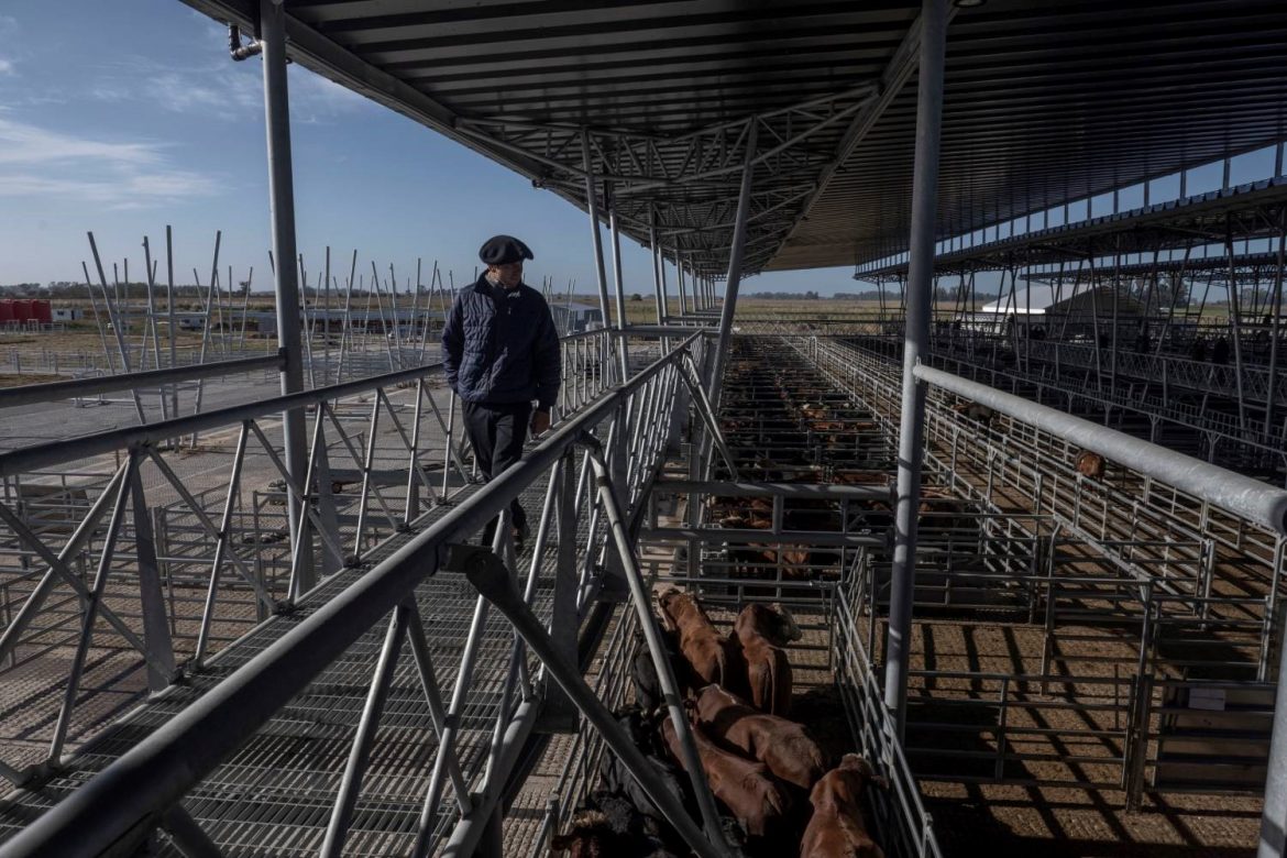 Una empresa de Pico construyó el techo del Nuevo Mercado Agroganadero de Cañuelas
