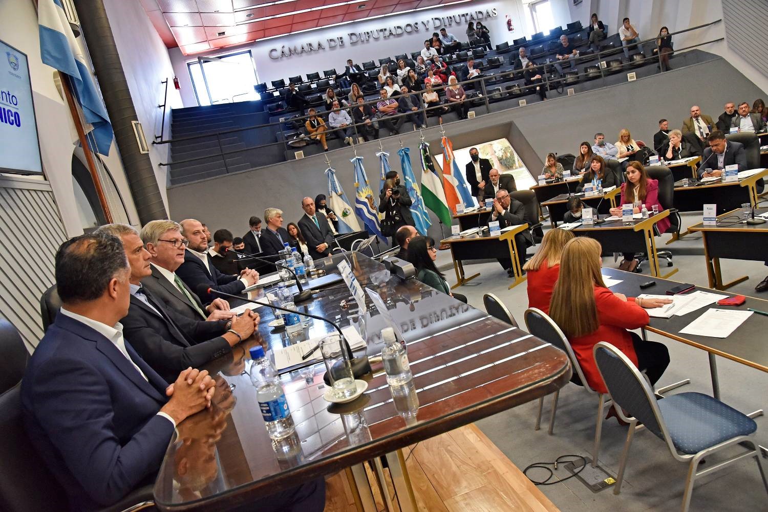 Ziliotto pidió en el Parlamento Patagónico defender la coparticipación frente a la “quita de recursos” en favor de CABA