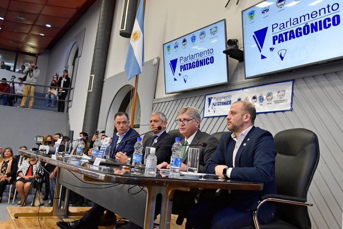 Portezuelo: Ziliotto agradeció a las provincias patagónicas por acompañar a La Pampa