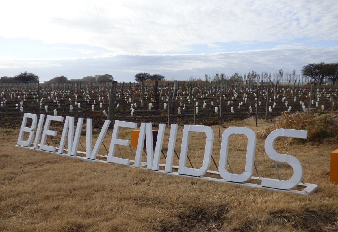 Pichi Huinca también proyecta construir una bodega