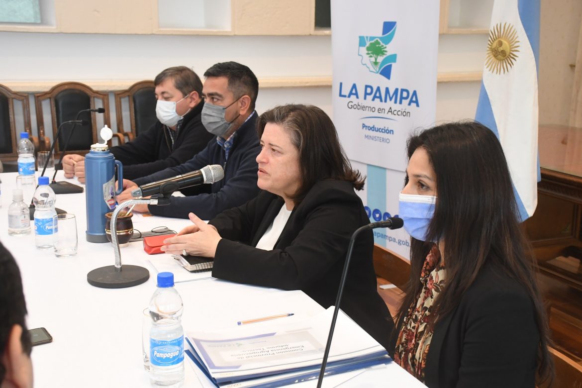 Declaran la emergencia agropecuaria en zonas de los departamentos de Chicalcó, Chalileo, Limay Mahuida y Puelén