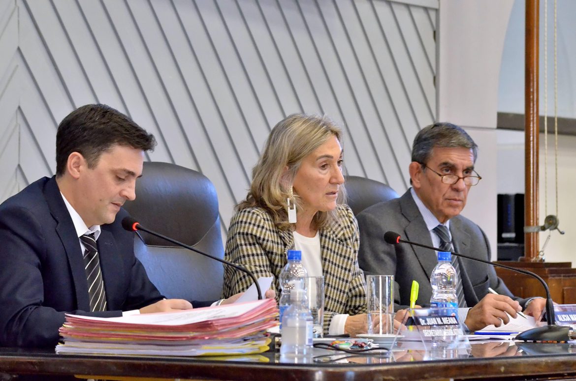 Diputados aprobó la Ley de Telemedicina en La Pampa