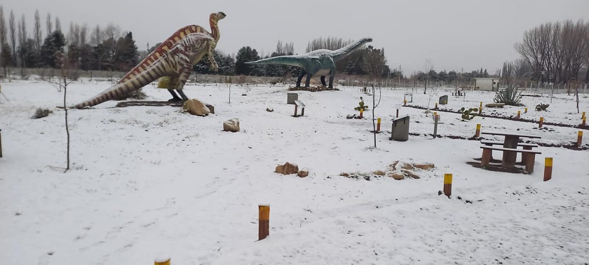 Nevó en 25 de Mayo y la zona