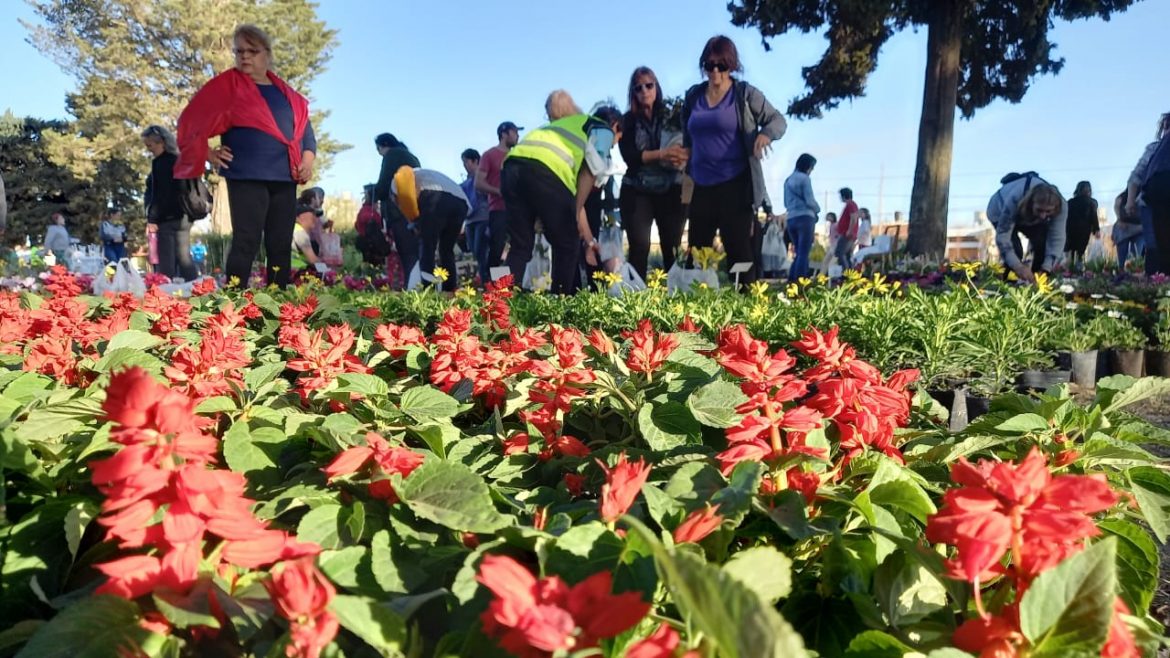 Cierra este domingo la Expo Plantas y Flores, en Santa Rosa