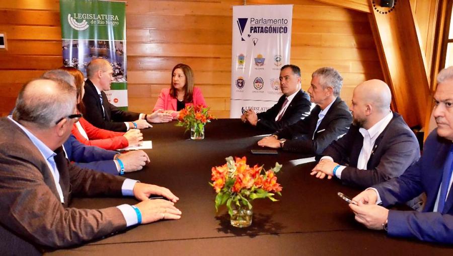 Fernández promueve crear un foro permanente de vicegobernadores patagónicos