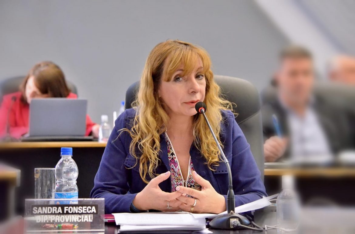 Comunidad Organizada propone medidas de apoyo para víctimas de siniestros de tránsito