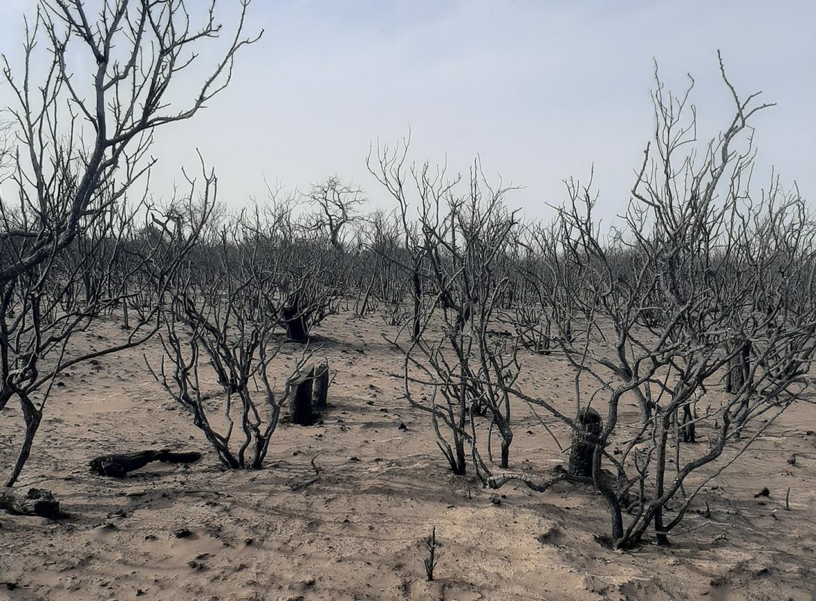 Incendio en Quehué: Defensa Civil dice que fue una “quema autorizada que se escapó” y un productor pide que no quede impune