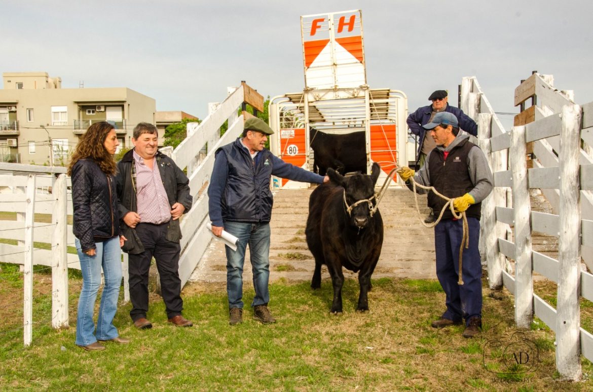 Ingresa el primer animal y empieza La Rural de Santa Rosa