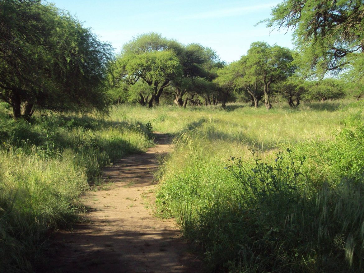 Santa Rosa: fue a un encuentro con una mujer y lo asaltaron