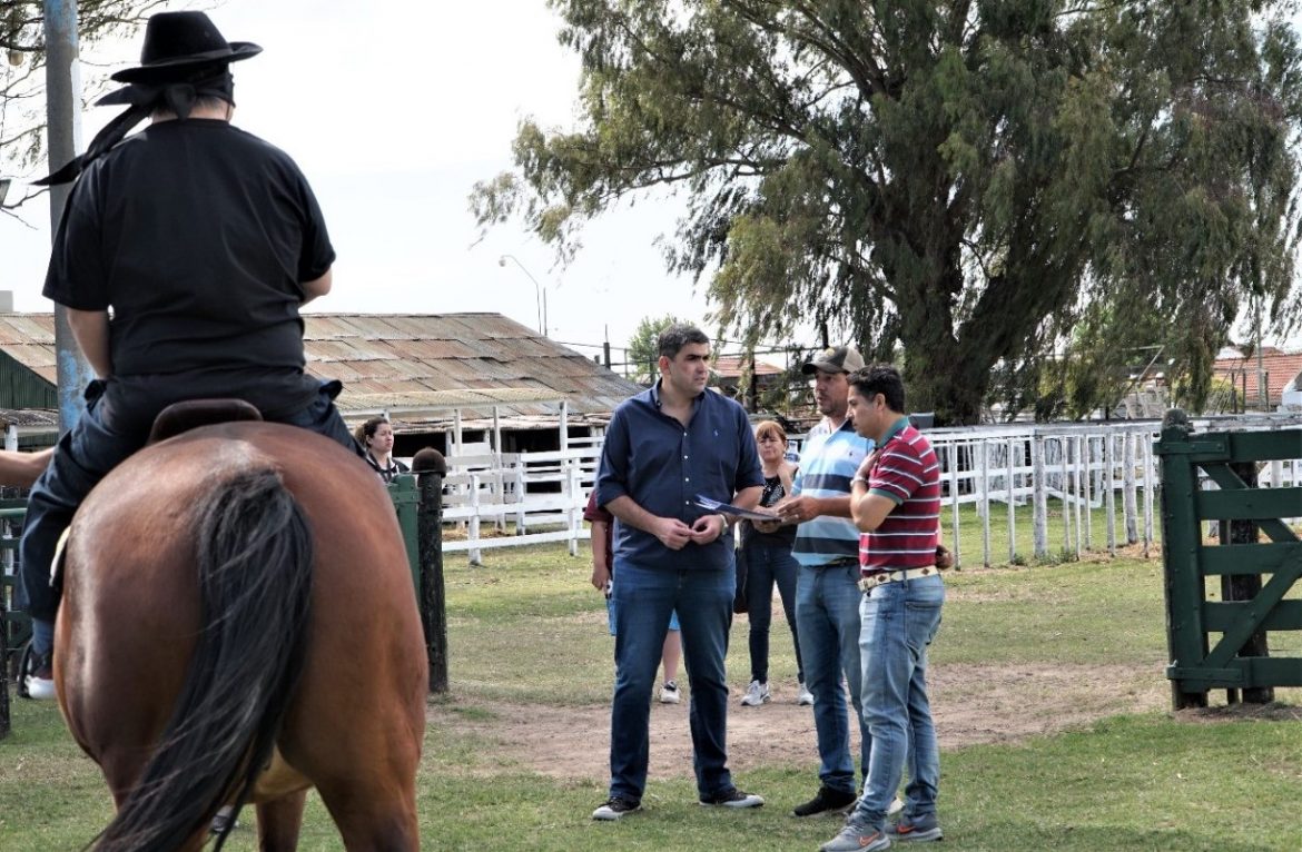 Bensusán presentó proyectos para fortalecer a la equinoterapia en todo el país