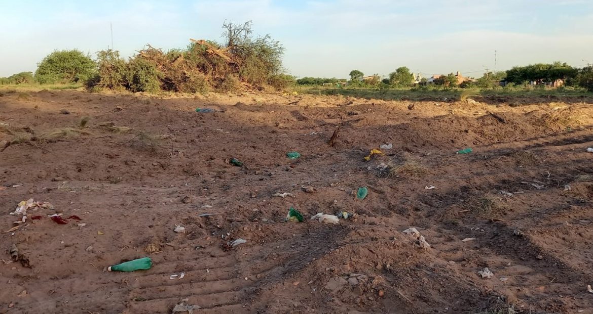 Con una topadora, arrasan con caldenes y piquillines en Santa Rosa