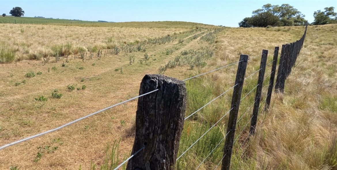 Nación homologó la emergencia agropecuaria en La Pampa