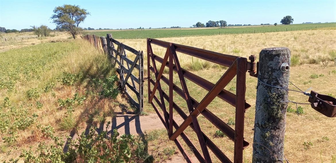 Diputado de la UCR pide cambiar ley de superficies mínimas de campos para solucionar condominios