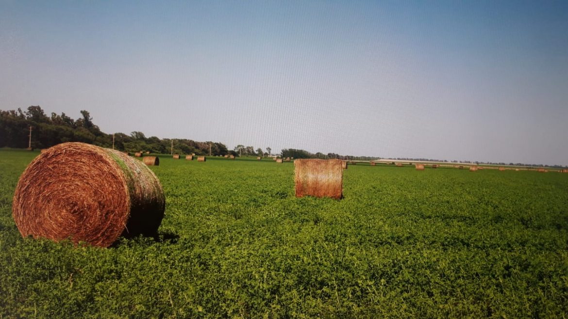 La Provincia anunció dos nuevos créditos para los ruralistas