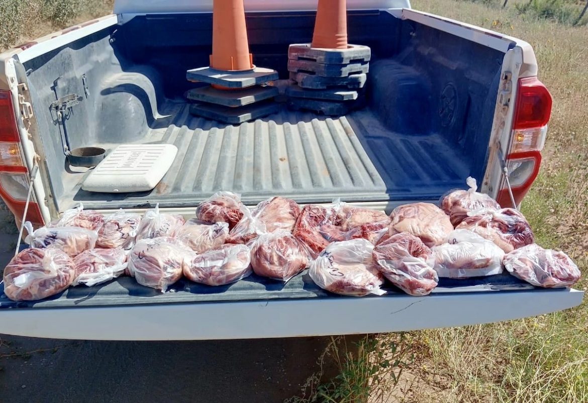 En una semana detectan a 14 cazadores furtivos