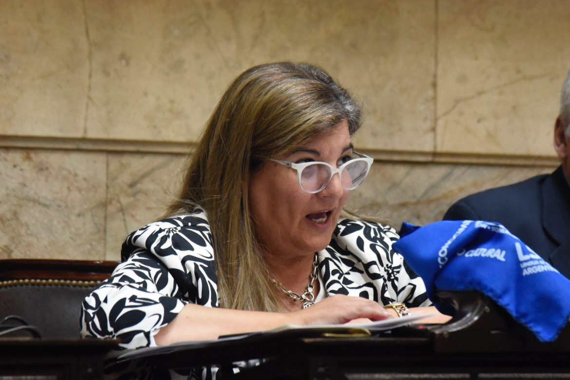 La diputada Marcela Coli criticó la prórroga del presupuesto nacional