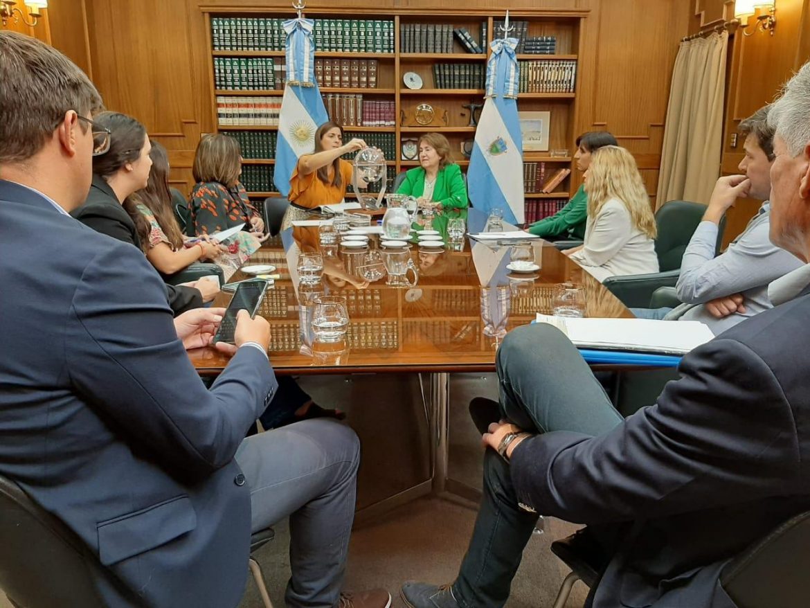 Caso Lucio: aceptan apartamiento de una integrante del jury