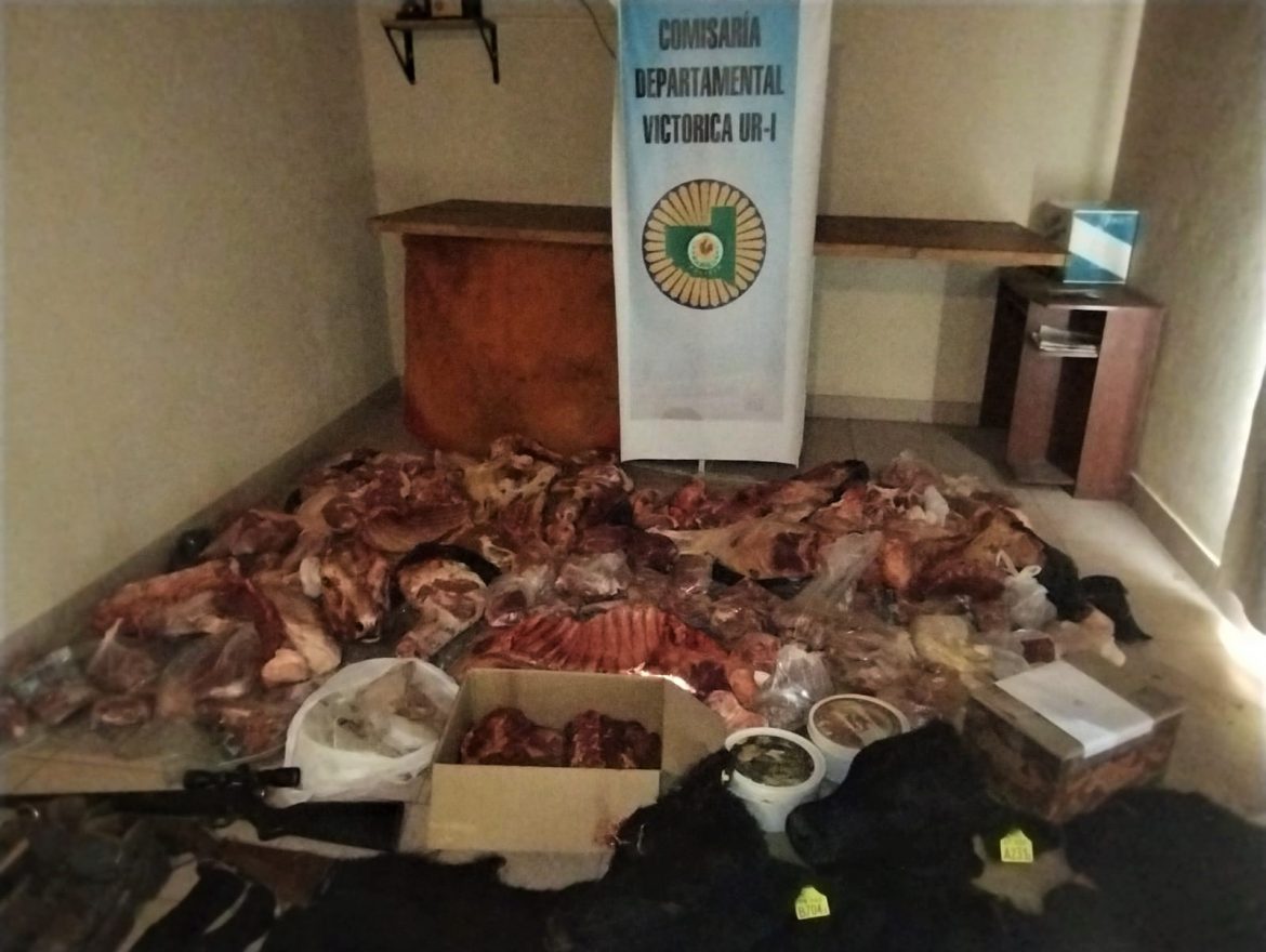 Victorica: tres detenidos por robar y faenar vacas de la Agrotécnica