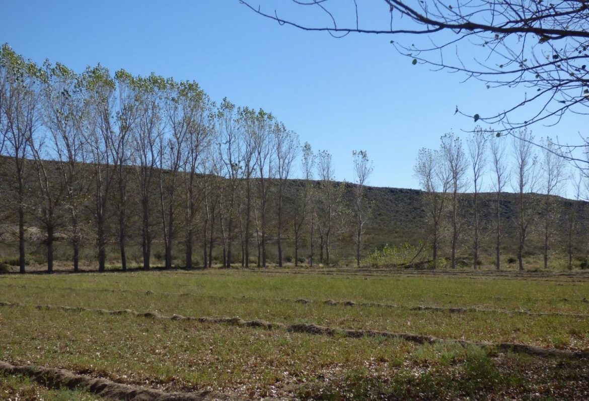 Intentan reactivar Agua de Torres para abastecer con verduras y hortalizas a La Humada