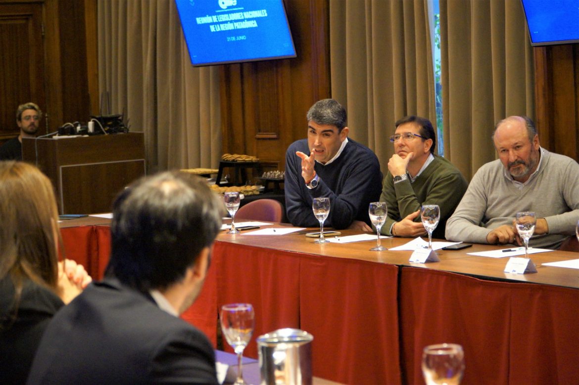 Encuentro de legisladores nacionales con referentes patagónicos de Came