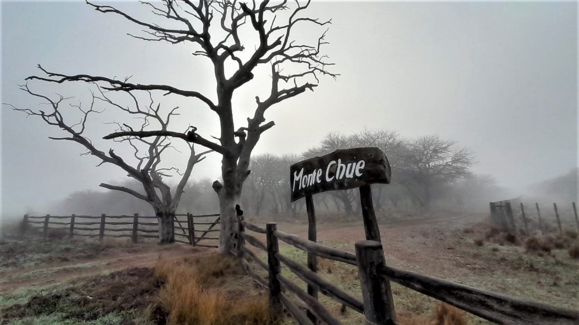 Purreta dice que enterró el cuerpo de Andrea cubierto por una sábana