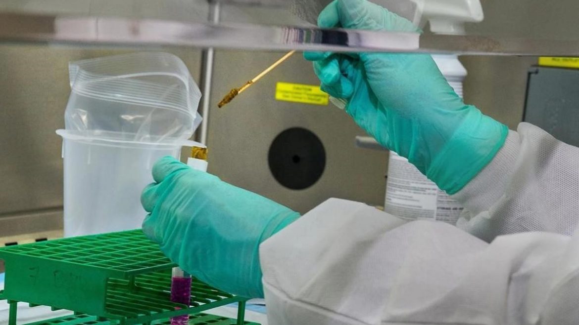 Cómo funciona Cruzivax, la vacuna desarrollada por argentinos contra el Chagas