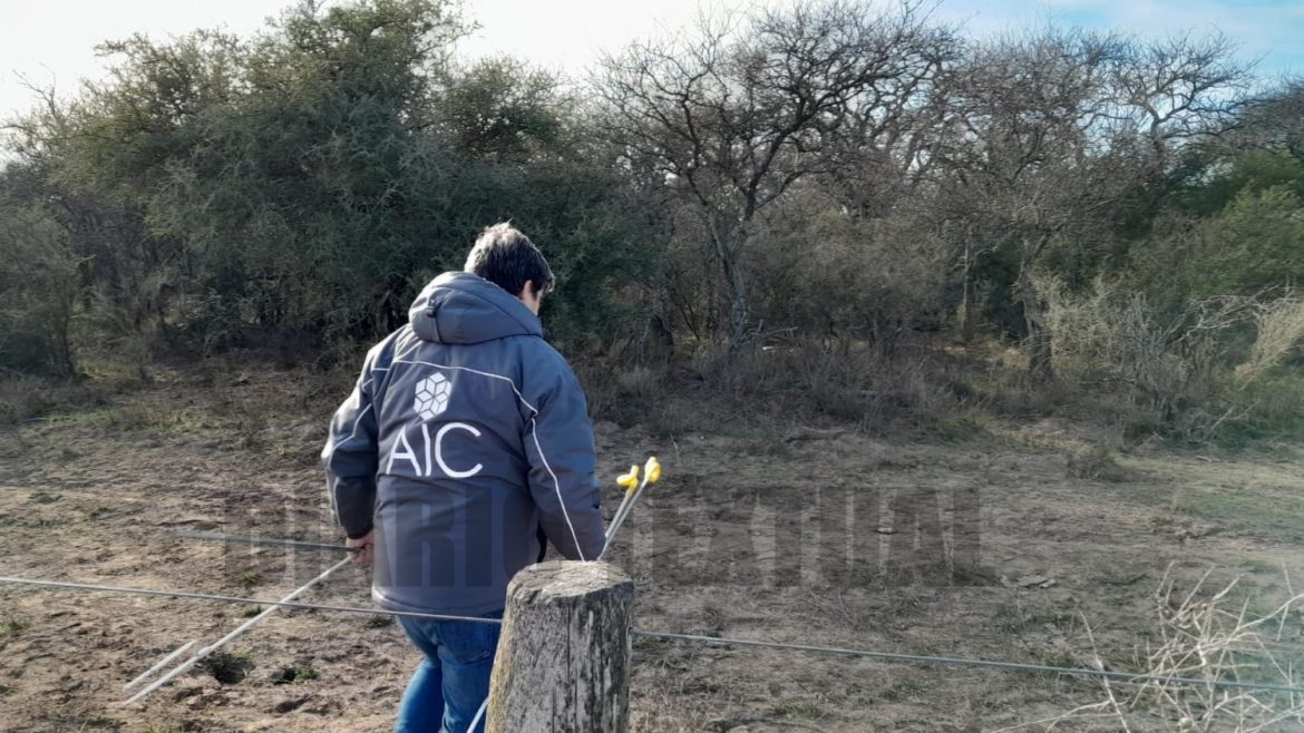 Búsqueda de Andrea: ampliaron excavaciones en zonas marcadas pero aun sin resultados