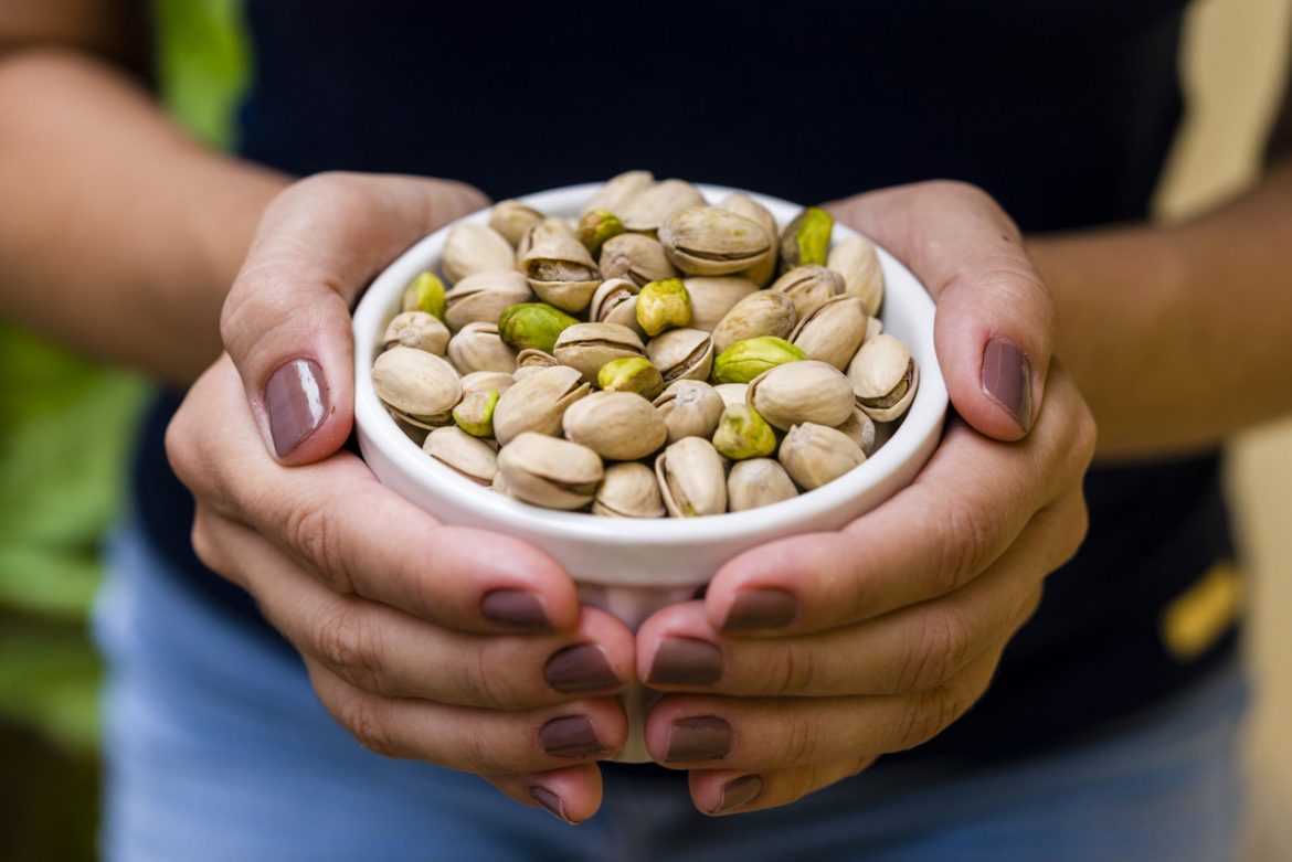 La “decisión histórica” de la Caja Forense de La Pampa para cultivar pistachos en 138 hectáreas