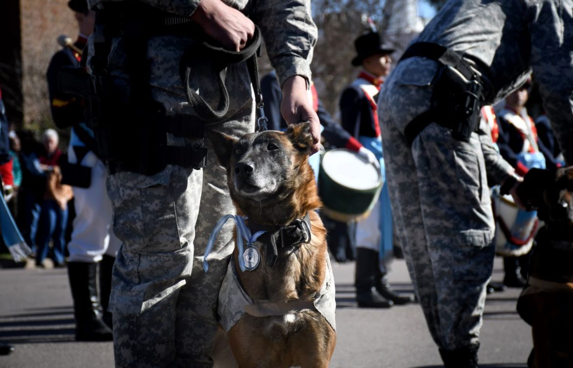 Alerta por la salud mental de los policías de La Pampa: en los últimos meses, 5 casos de suicidios o intentos de suicidio