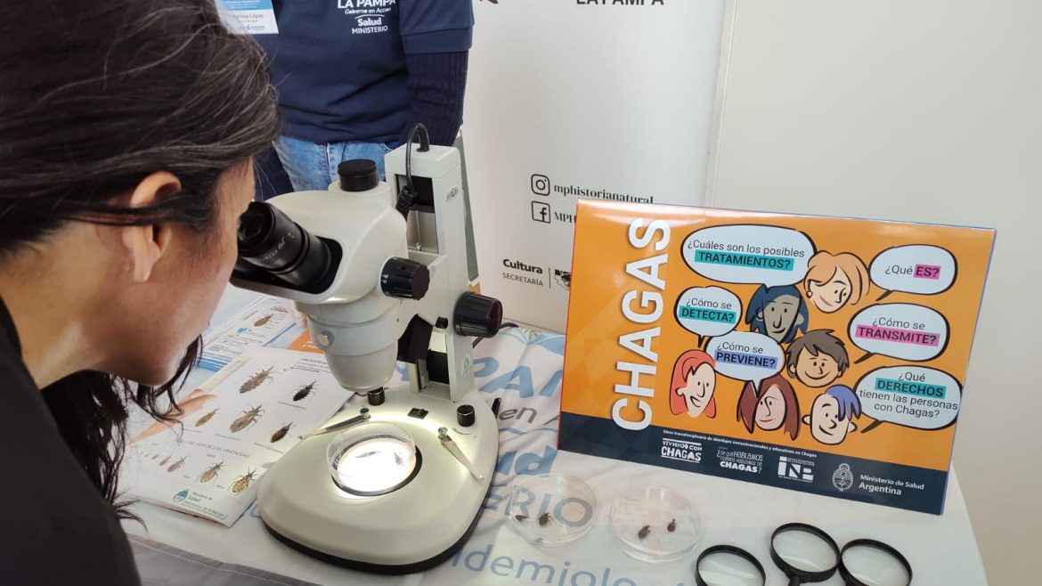 Destacan que el trabajo multisectorial evitó el progreso del Mal de Chagas en La Pampa