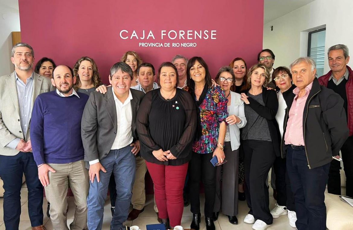 Se reunieron las Cajas Profesionales de la Patagonia para preparar el plenario en Santa Rosa