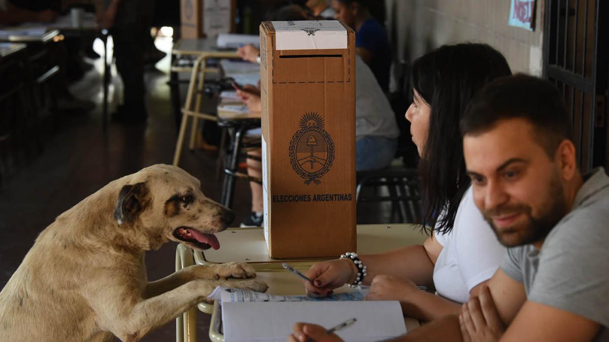 Se aceleran contactos para que el PRO La Pampa y el partido de Tierno cuiden los votos de Milei