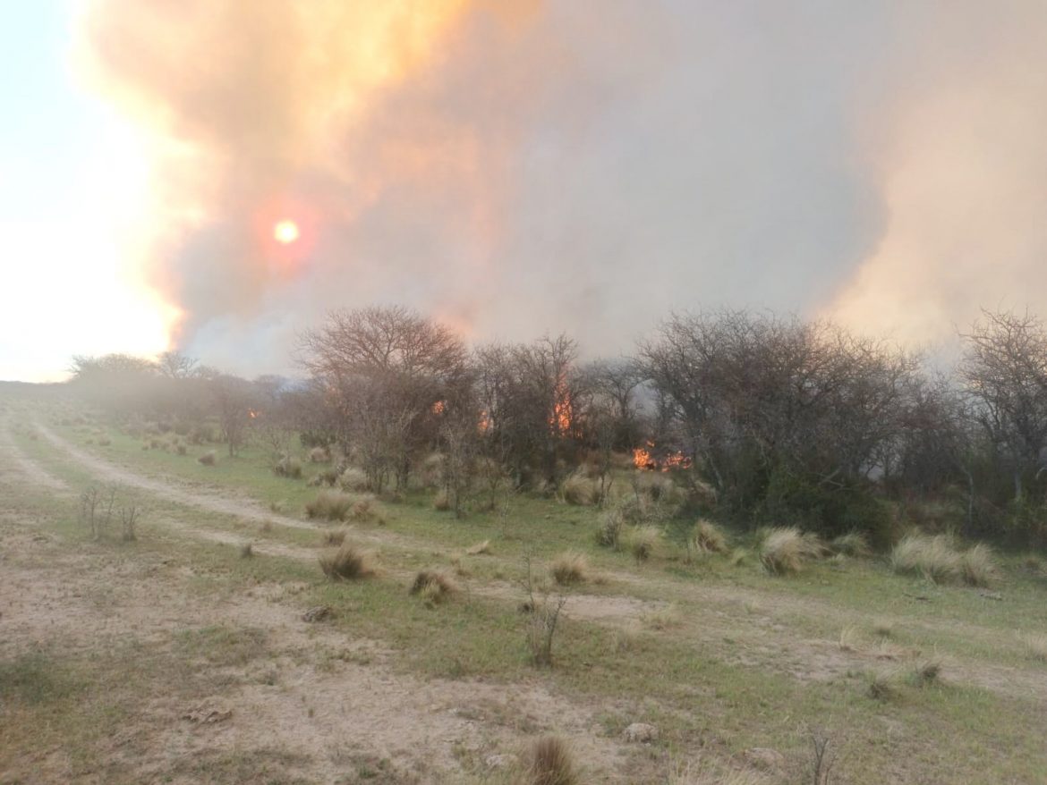 Se quemaron 1500 hectáreas de campos en la zona de General Acha