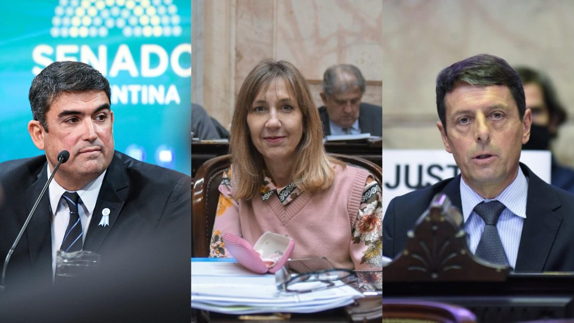 Legisladores peronistas de La Pampa ya adelantaron su rechazo al megadecreto de Milei